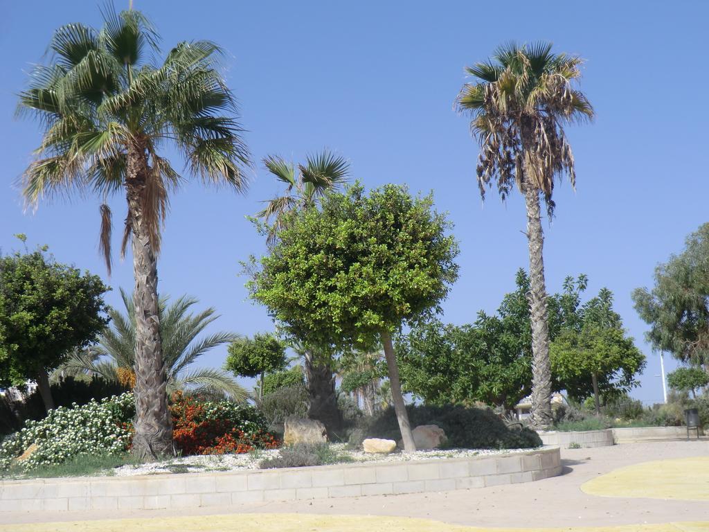 Casa En La Costa Torrevieja Exterior foto