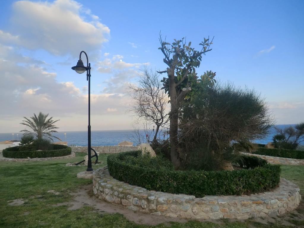 Casa En La Costa Torrevieja Exterior foto